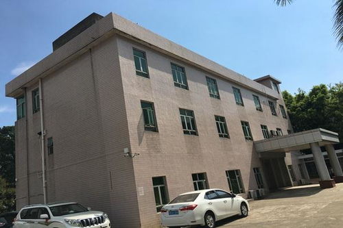 今日新聞 技術(shù)精湛，專業(yè)護(hù)航——聚焦十堰、襄陽(yáng)、宜昌三地房屋建筑檢測(cè)與鑒定